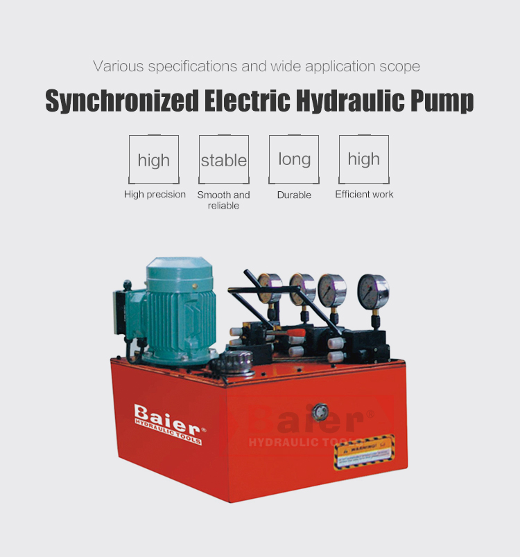 Synchronized Electric Hydraulic Pump Marketer Baier