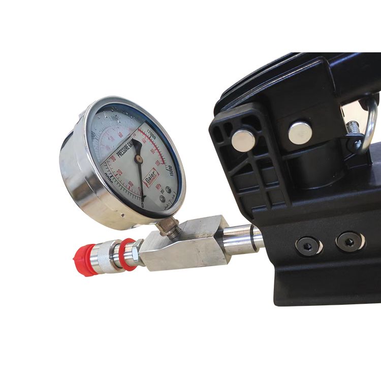 what is a double acting <a href='https://www.ruidapetroleum.com/product/47'>hydraulic</a> <a href='https://www.ruidapetroleum.com/product/49'>pump</a> factory